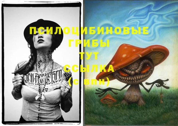 ALPHA-PVP Богданович
