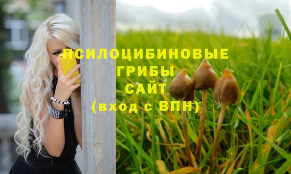 амф Богородицк