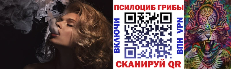 Псилоцибиновые грибы Psilocybe  Симферополь 